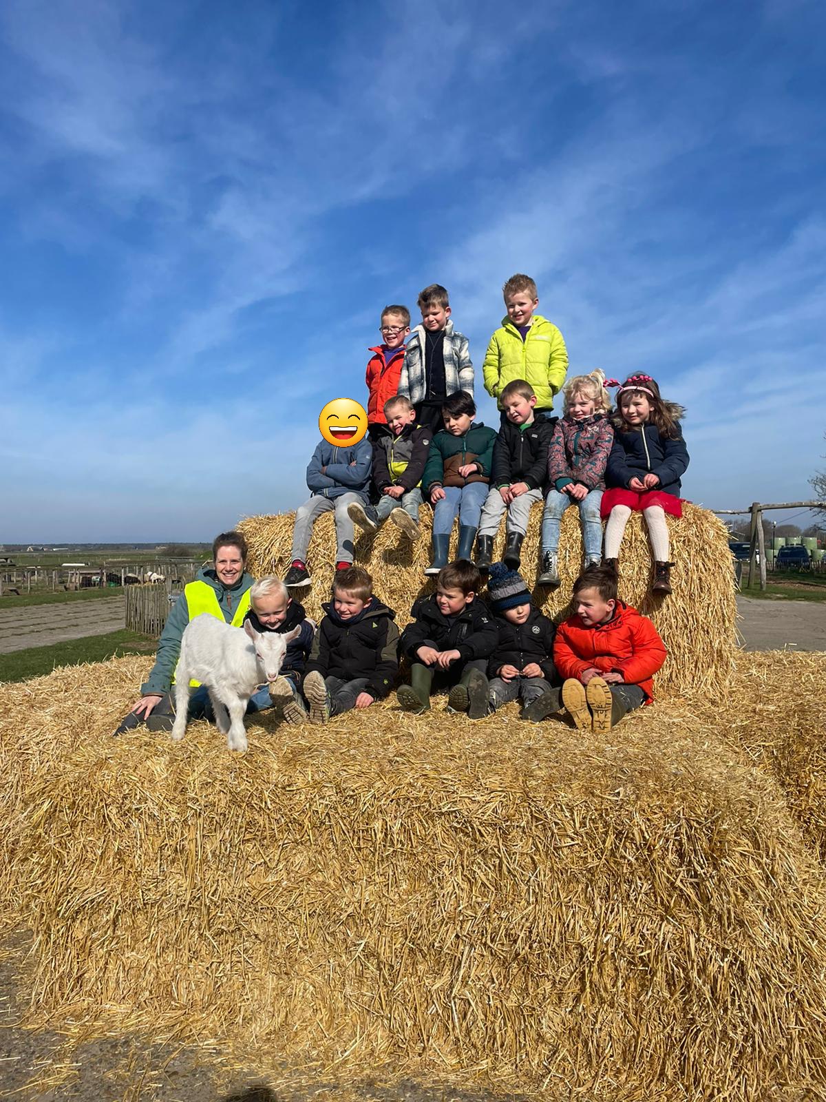 Groep 1/2 brengt een bezoek aan de Schapenboerderij !