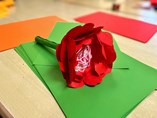 IMG_3485