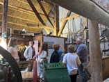 IMG_8691