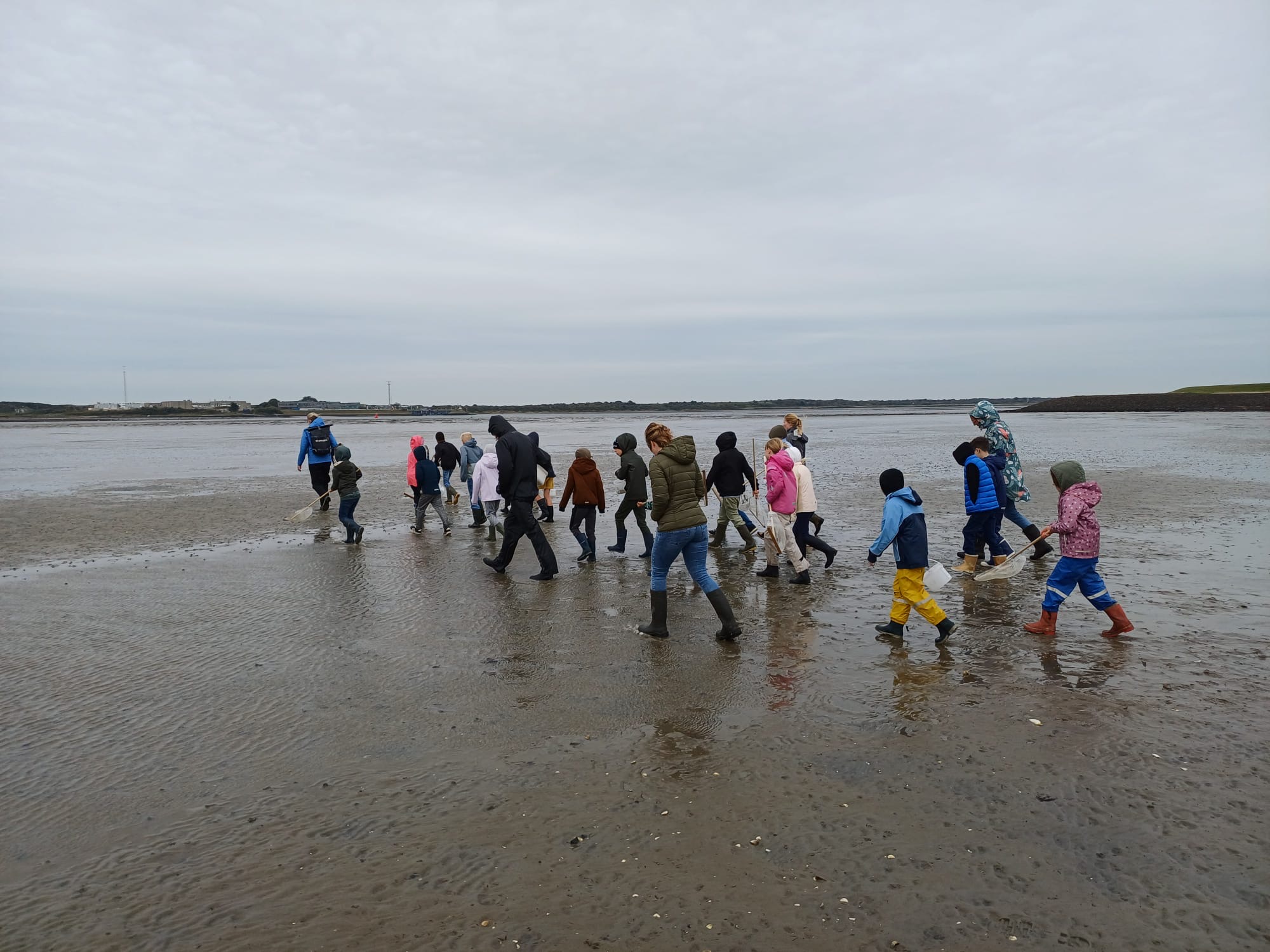 Groep 5/6 ging wadlopen